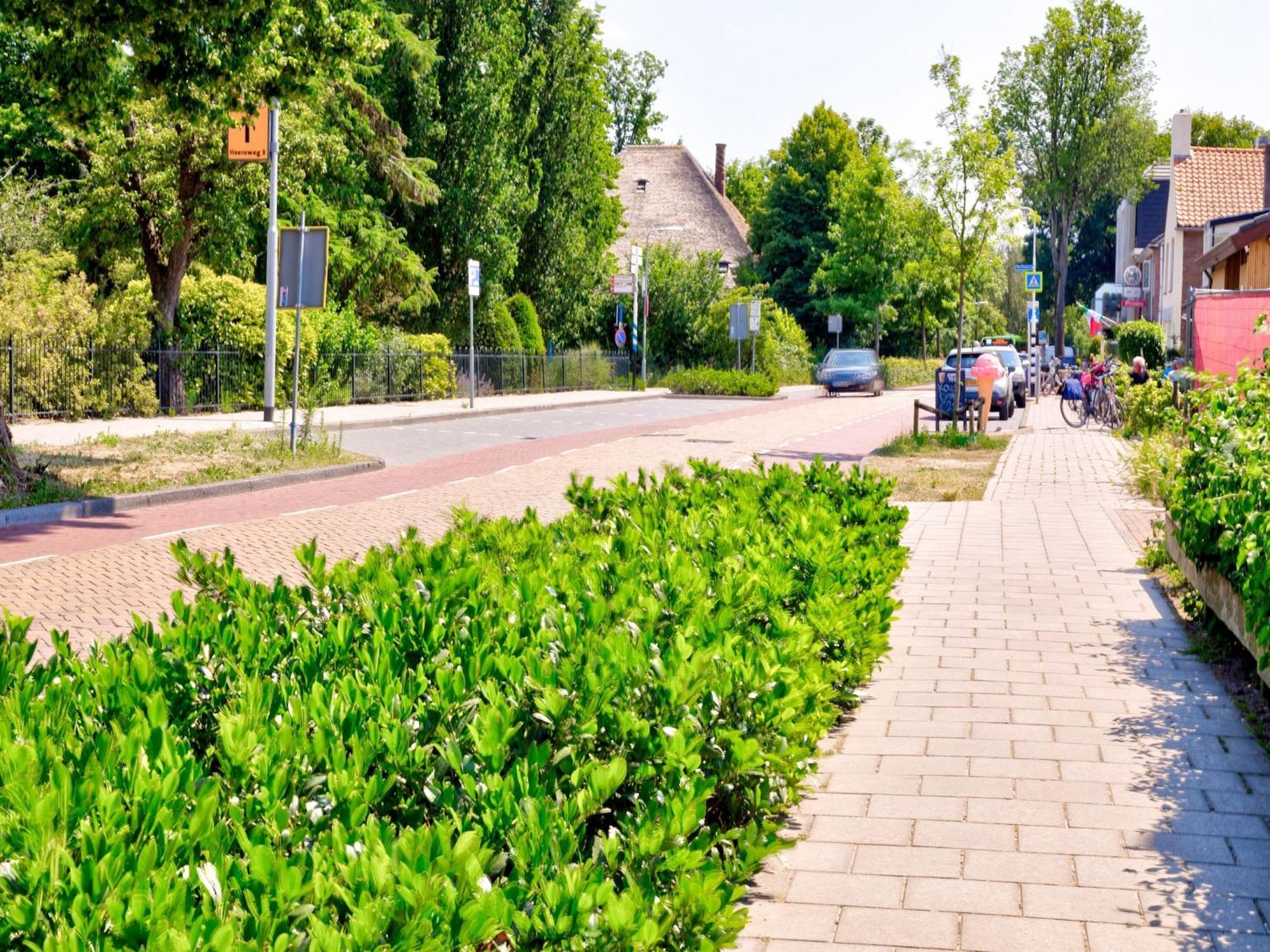 Stunning Apartment In Schoorl North Holland You Can Bike To The Beach Exteriör bild